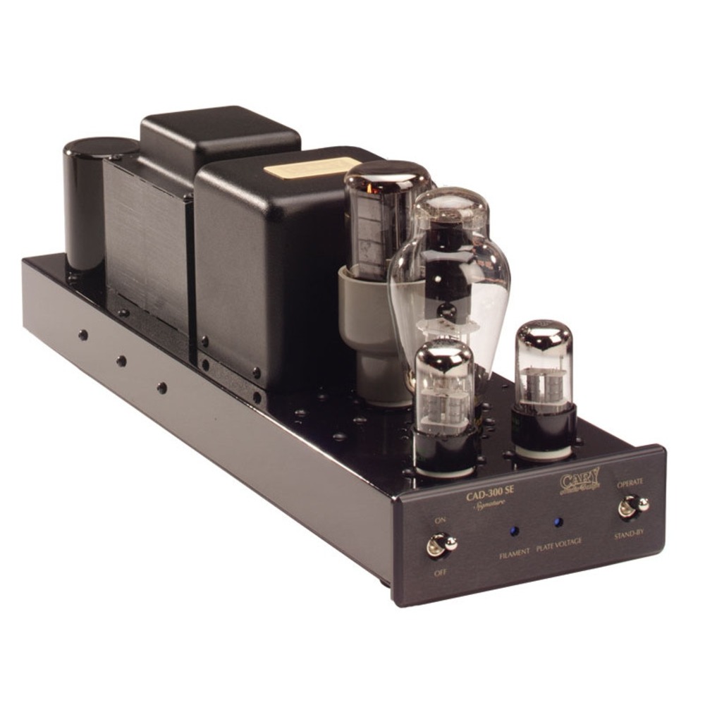 Усилитель мощности Cary Audio CAD 300 SE Silver