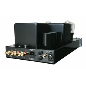 Усилитель мощности Cary Audio CAD 211 FE Black