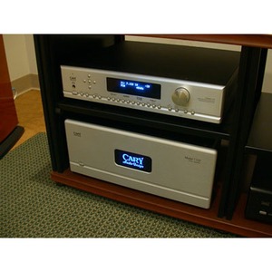 Усилитель мощности Cary Audio SA 500.1 Silver
