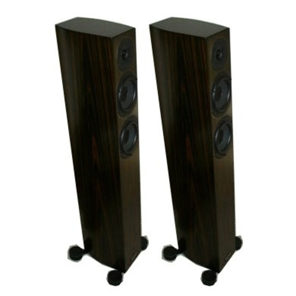 Напольная акустика Audio Physic Spark Black