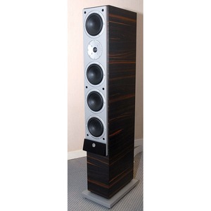 Напольная акустика System Audio SA Explorer sp Edition Gloss Black