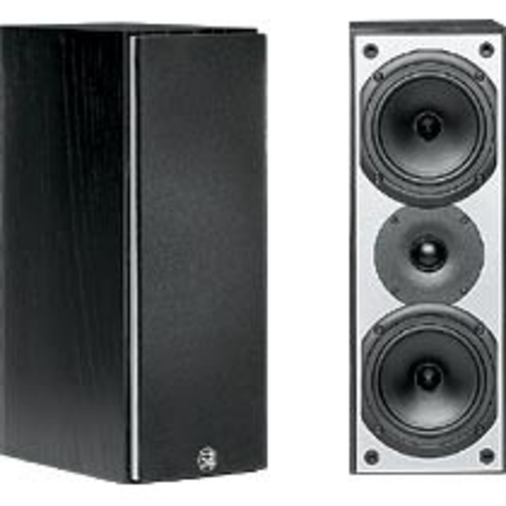 Полочная акустика System Audio SA 520 Black