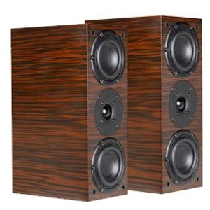 Полочная акустика System Audio SA Aura 10 Ebony