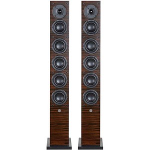 Напольная акустика System Audio SA Aura 60 Ebony