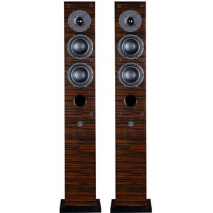 Напольная акустика System Audio SA Aura 30 Ebony