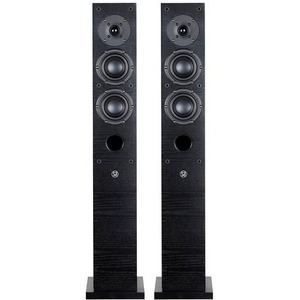 Напольная акустика System Audio SA Aura 30 HG Black