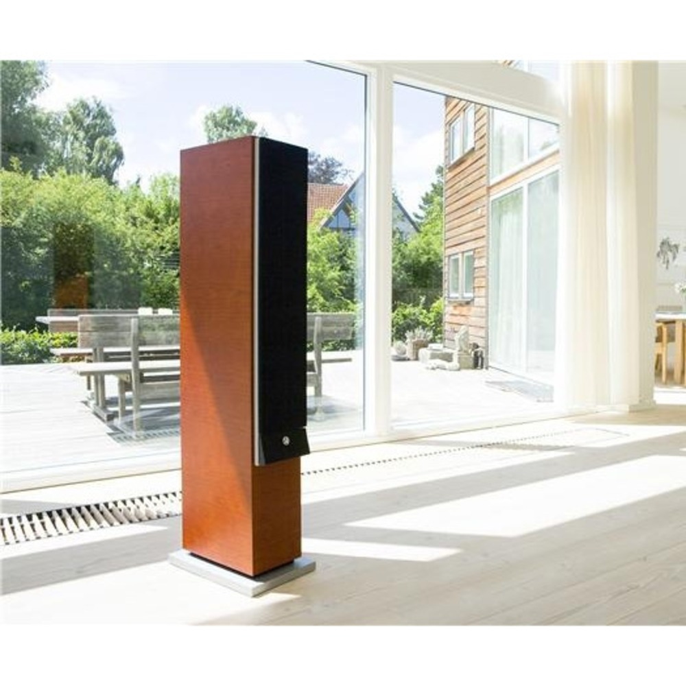 Напольная акустика System Audio SA Explorer Master HG Macassar