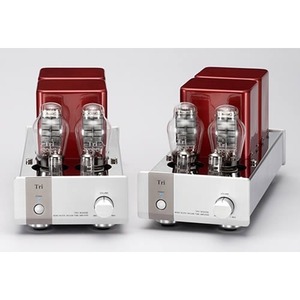 Усилитель мощности Triode TRV-M300SE