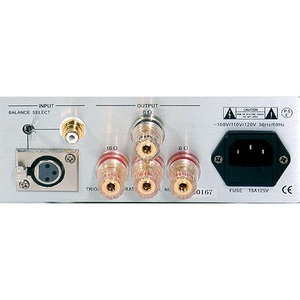 Усилитель мощности Triode TRV-M300SE