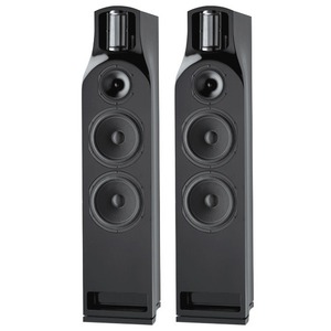 Напольная акустика T+A TCI 2 E Active Black