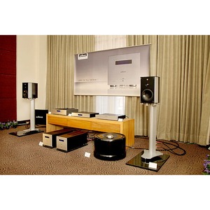 Напольная акустика Wilson Benesch Trinity