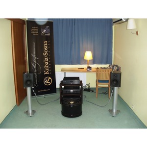 Фазоинверторный сабвуфер Wilson Benesch The Torus