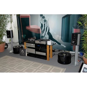 Фазоинверторный сабвуфер Wilson Benesch The Torus