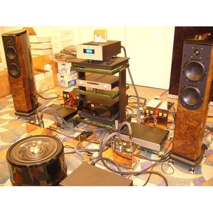 Напольная акустика Wilson Benesch A.C.T. wood Red Tulip