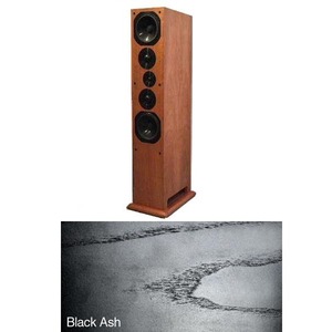 Напольная акустика ProAc Response D 100 Black Ash
