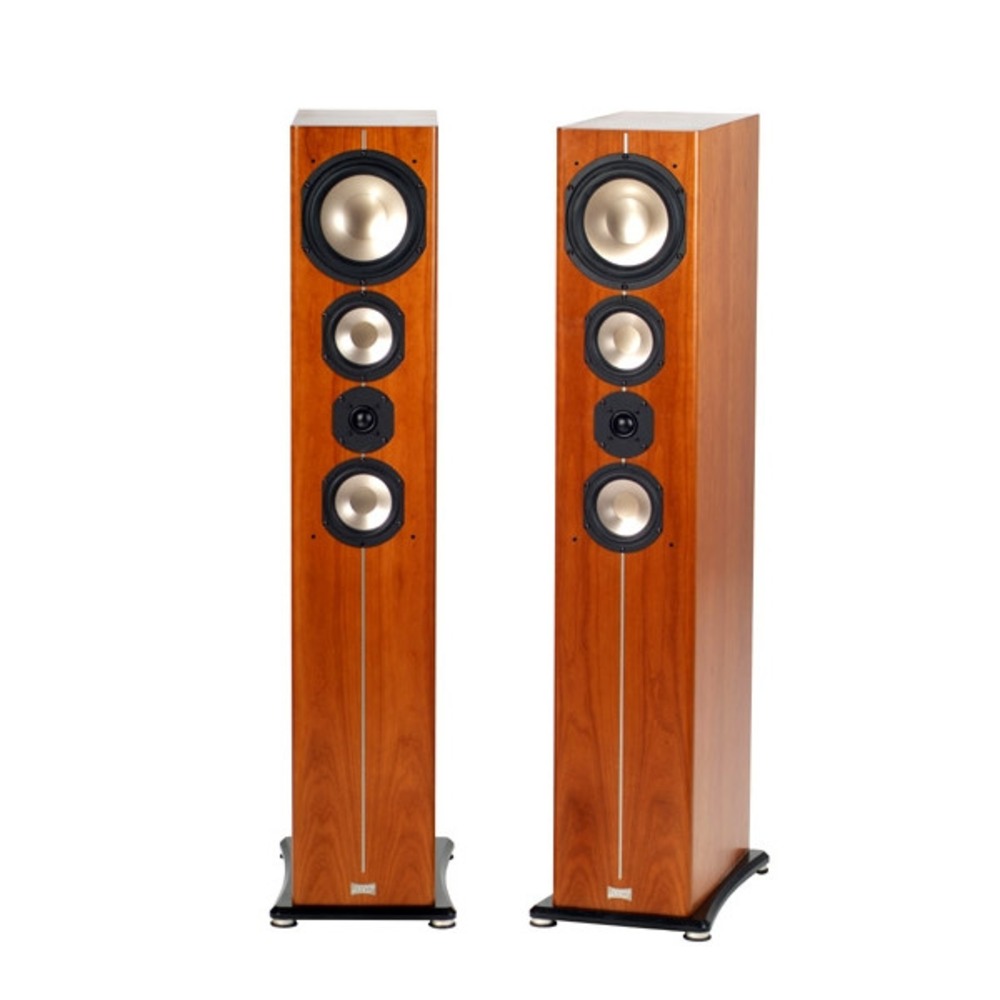 Напольная акустика ASW CANTIUS 504 Maple