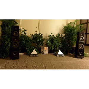 Полочная акустика Verity Audio Parsifal Ovation Monitor Gloss Black