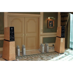 Напольная акустика Verity Audio Amadis High Gloss Black