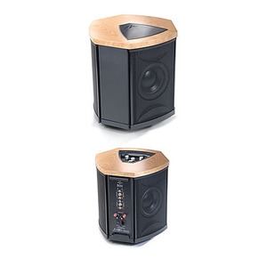 Фазоинверторный сабвуфер Martin Logan Depth i Cherry