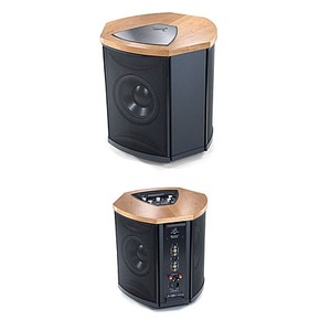 Фазоинверторный сабвуфер Martin Logan Descent i Cherry