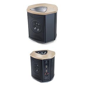 Фазоинверторный сабвуфер Martin Logan Descent i Maple