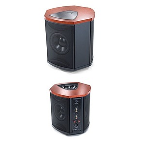 Фазоинверторный сабвуфер Martin Logan Descent i Dark Cherry