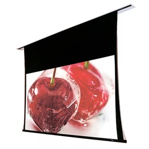 Экран для проектора Draper Access V HDTV (9:16) 269/106 132x234 HDG