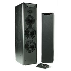 Напольная акустика Meridian DSP5500MkII-CC