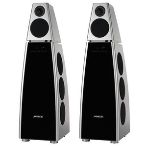 Напольная акустика Meridian DSP8000-KC