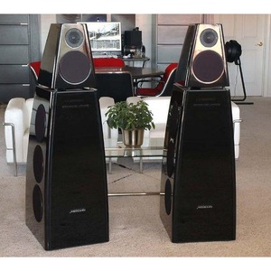 Напольная акустика Meridian DSP8000-CC
