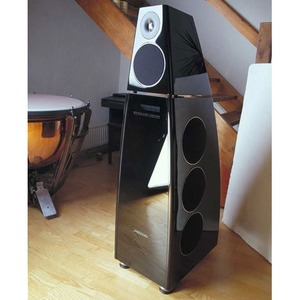 Центральный канал Meridian DSP8000C-CC