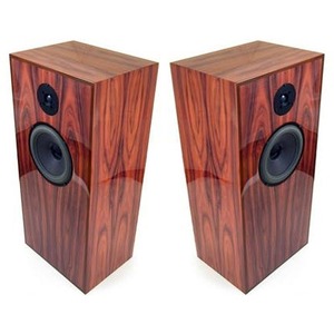 Напольная акустика Audio Note AN-E SPe Signature