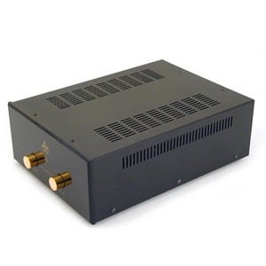 Усилитель мощности Audio Note P2 SE Silver