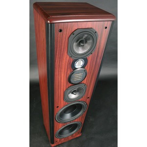 Напольная акустика Legacy Audio Focus HD Black Oak