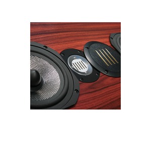 Напольная акустика Legacy Audio Focus HD Black Oak