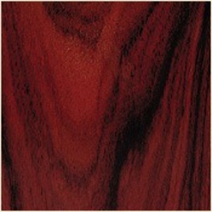 Напольная акустика Legacy Audio Focus HD Rosewood