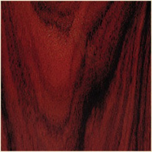 Фазоинверторный сабвуфер Legacy Audio LFXtreme RW