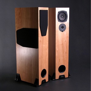 Напольная акустика Rega RS5 Cherry