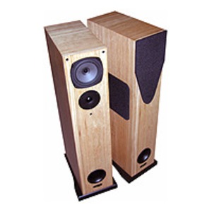 Напольная акустика Rega R5 Maple