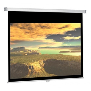 Экран для проектора Ligra CINEROLL SCREEN, MW, HDTV, 16:9, 203x170, 90