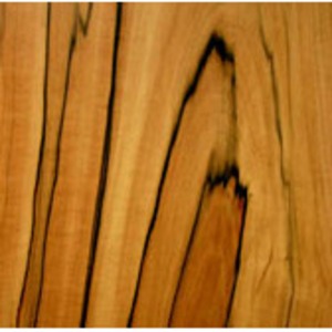Полочная акустика WLM Gran Viola Monitor Tineo