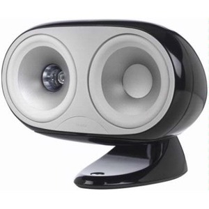 Центральный канал Tannoy Arena Centre Gloss Black