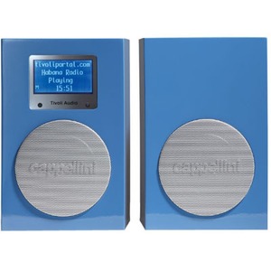 Радиоприемник Tivoli Audio NetWorks Stereo with FM China Blue/Silver