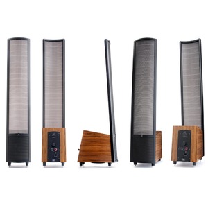 Напольная акустика Martin Logan Ethos Teak