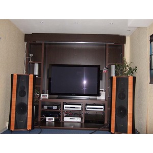 Напольная акустика Sonus Faber Elipsa Graphite