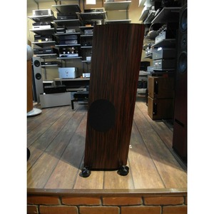 Напольная акустика Audio Physic Tempo 25 Ebony