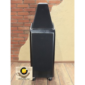 Напольная акустика Wilson Audio Sasha W/P Black Matt