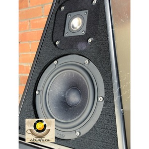 Напольная акустика Wilson Audio Sasha W/P Black Matt