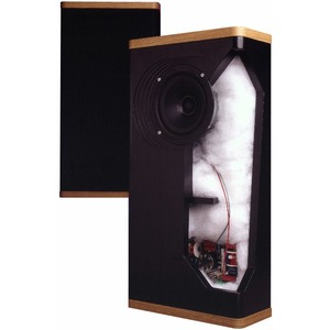 Полочная акустика Vandersteen Model VSM-1 Black Begie Grille