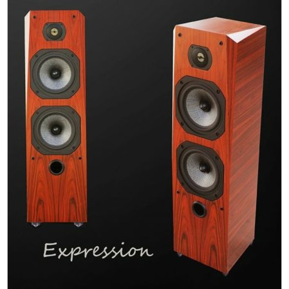 Напольная акустика Legacy Audio Expression RW